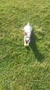 20150329_174720.jpg