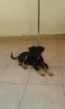 20150517_151424.jpg