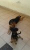 20150517_151604.jpg