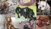 Puppy-mills-2.jpg