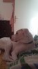 20150530_162246.jpg