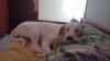 20150530_162241.jpg