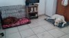 20150601_124743.jpg
