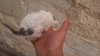 20150607_191308.jpg