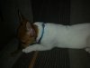20150607_120238.jpg