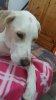 20150614_221354.jpg