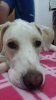 20150614_221217.jpg
