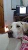 20150614_221144.jpg