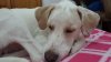 20150614_220747.jpg