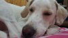 20150614_220619.jpg
