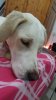 20150614_220557.jpg