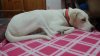 20150614_220542.jpg