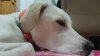 20150614_220512.jpg