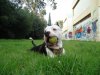DSC00520.JPG