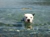 DSC01108.JPG