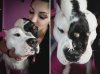 pet-city-16-980x730.jpg