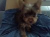 20150624_100751.jpg