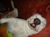 DSC03695.JPG
