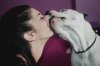 pet city-08.jpg