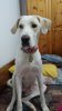 20150624_212506.jpg