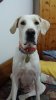20150624_212519.jpg