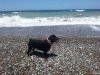 20150625_141856.jpg