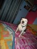 DSC00018.JPG