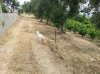 PE_20150629191451.jpg