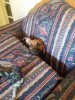 20150629_114139.jpg