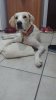 20150701_204456.jpg