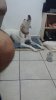 20150701_230511.jpg