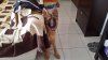 20150509_101334.jpg