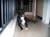 DSCN5152.JPG