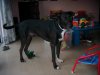 DSCN5153.JPG