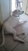 20150802_185511.jpg