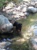 20150730_154431.jpg