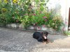 20150806_190631.jpg