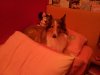 20140209_230750.jpg