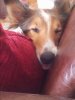 20140327_130236.jpg