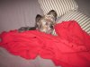 IMG_5006_resize.JPG