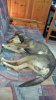 20150919_155105.jpg
