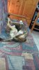 20150919_155115.jpg