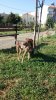 20150920_092806.jpg