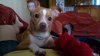 20150917_161749.jpg