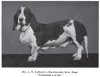 1901Basset_Hound.jpg