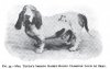 1903Basset_Hound.jpg