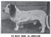 1910_BassetHound.gif