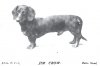 1898_Dachshund_JimCrow.jpg