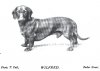 1898_Dachshund_Wilfred.jpg