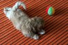 DSC03215.JPG